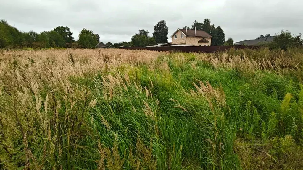 Участок в Московская область, Рузский муниципальный округ, д. Цыганово ... - Фото 1