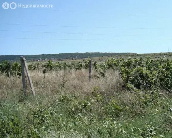 Участок в Кумторкалинский район, посёлок городского типа Тюбе (600 м) - Фото 0