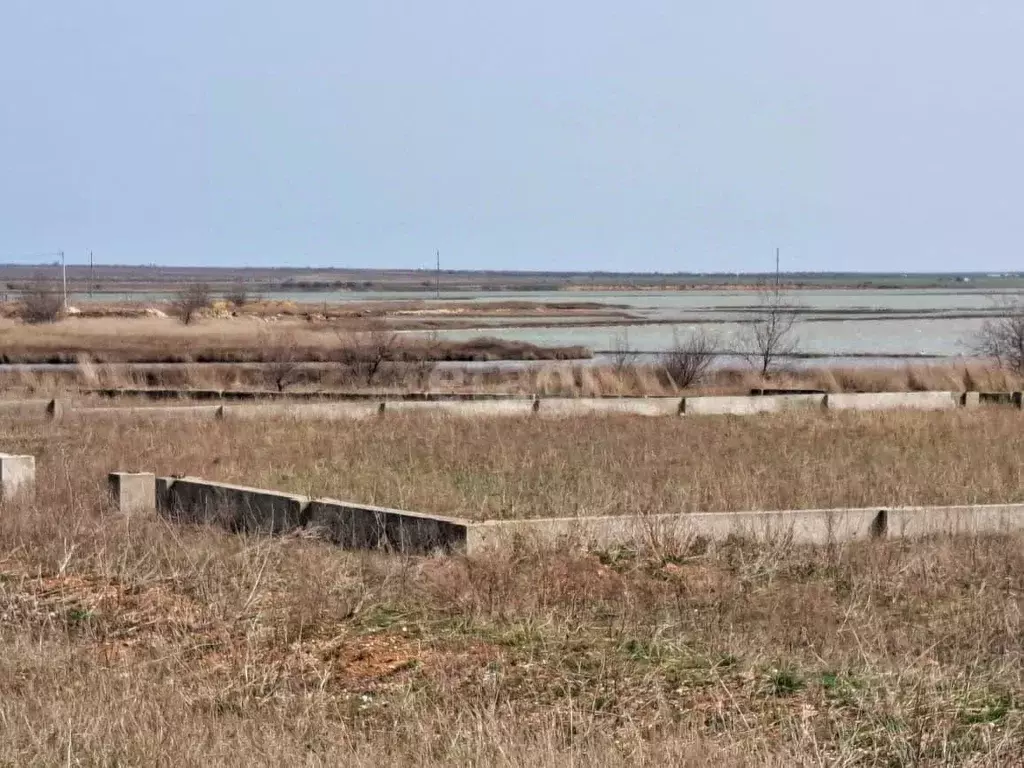 Участок в Крым, Черноморский район, с. Межводное ш. Черноморское (20.0 ... - Фото 1