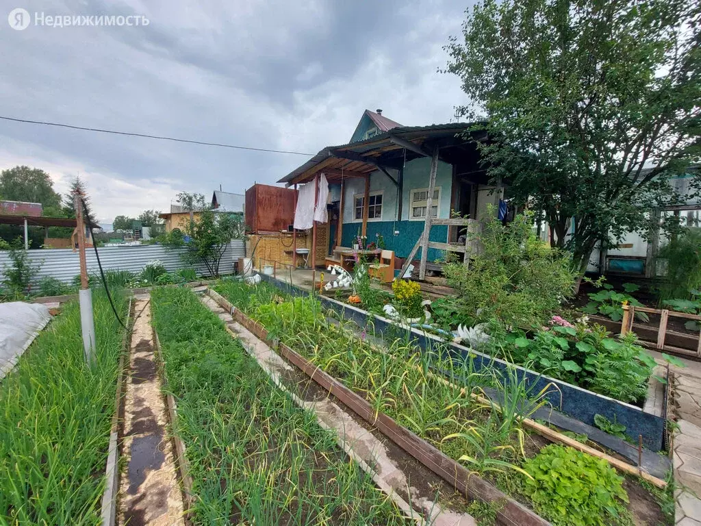 Купить Сад В Березниках Недорого