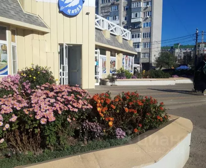 1-к кв. Краснодарский край, Ейск Коммунистическая ул., 20/6 (12.0 м) - Фото 2