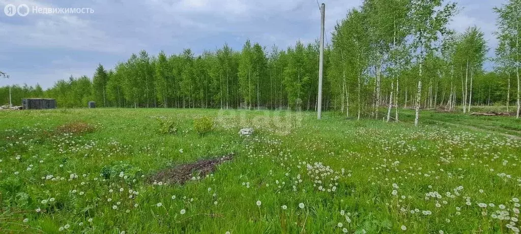 Участок в Республика Марий Эл, городской округ Йошкар-Ола, деревня ... - Фото 1