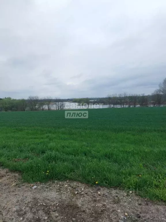 Участок в Краснодарский край, Кореновск 2-й кв-л,  (56142.0 сот.) - Фото 1