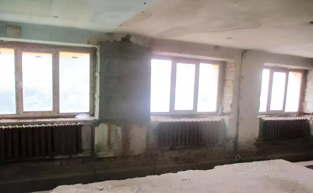 Помещение свободного назначения в Новосибирская область, Новосибирск ... - Фото 1