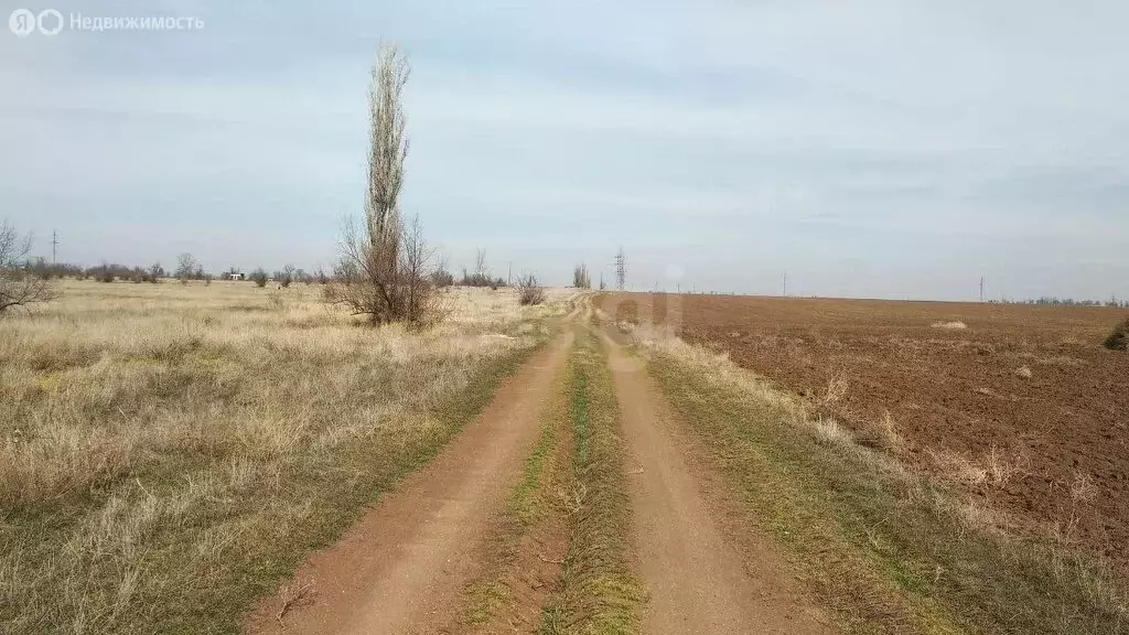 Участок в Сакский район, село Орехово (6 м) - Фото 1
