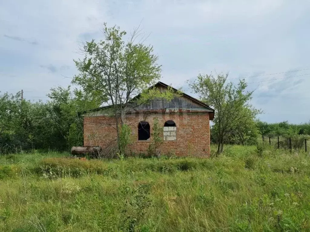 Дом в Саратовская область, Воскресенский район, Елшанское ... - Фото 0