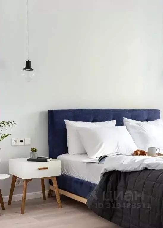 1-к кв. Санкт-Петербург Кузнечный пер., 19-21 (27.0 м) - Фото 1