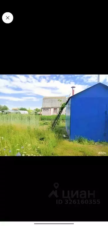 Участок в Брянская область, Брянский район, Нетьинское с/пос, Весна ... - Фото 1