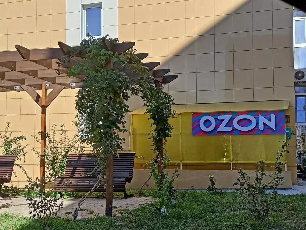 Помещение свободного назначения в Краснодарский край, Анапа ул. ... - Фото 2