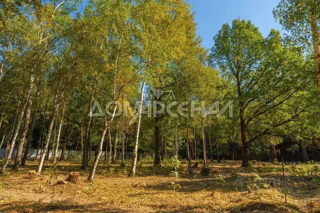 Участок в Московская область, Наро-Фоминский городской округ, д. ... - Фото 0