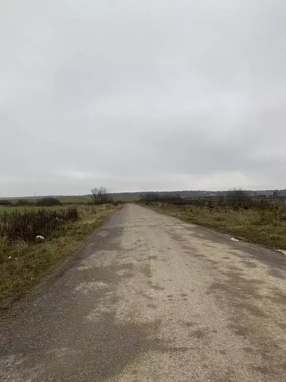 Участок в Московская область, Подольск городской округ, Лопатино СНТСН ... - Фото 2