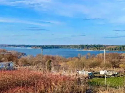 Участок в Новгородская область, Валдайское городское поселение, с. ... - Фото 1