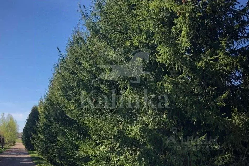 Участок в Московская область, Одинцовский городской округ, пос. ... - Фото 2