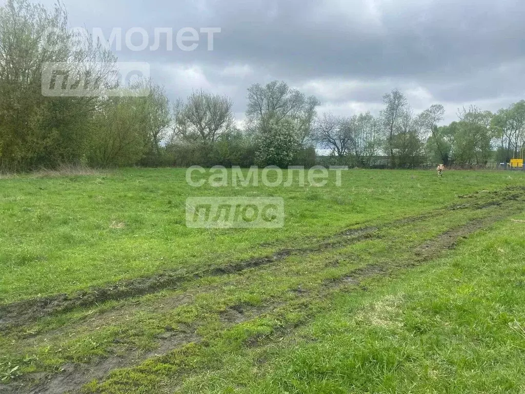 Участок в Курская область, Курский район, Полянский сельсовет, с. ... - Фото 2