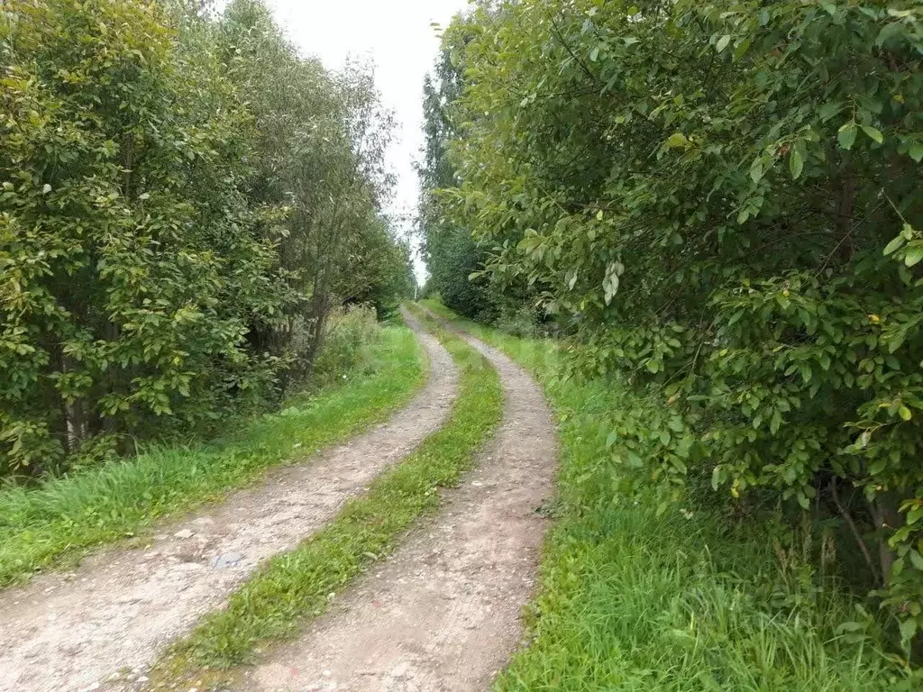 Участок в Московская область, Волоколамский муниципальный округ, д. ... - Фото 1