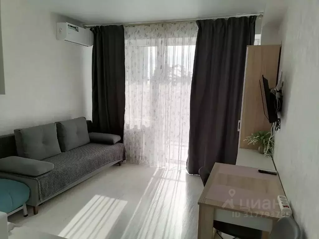 Студия Краснодарский край, Сочи городской округ, Дагомыс пгт ул. ... - Фото 1