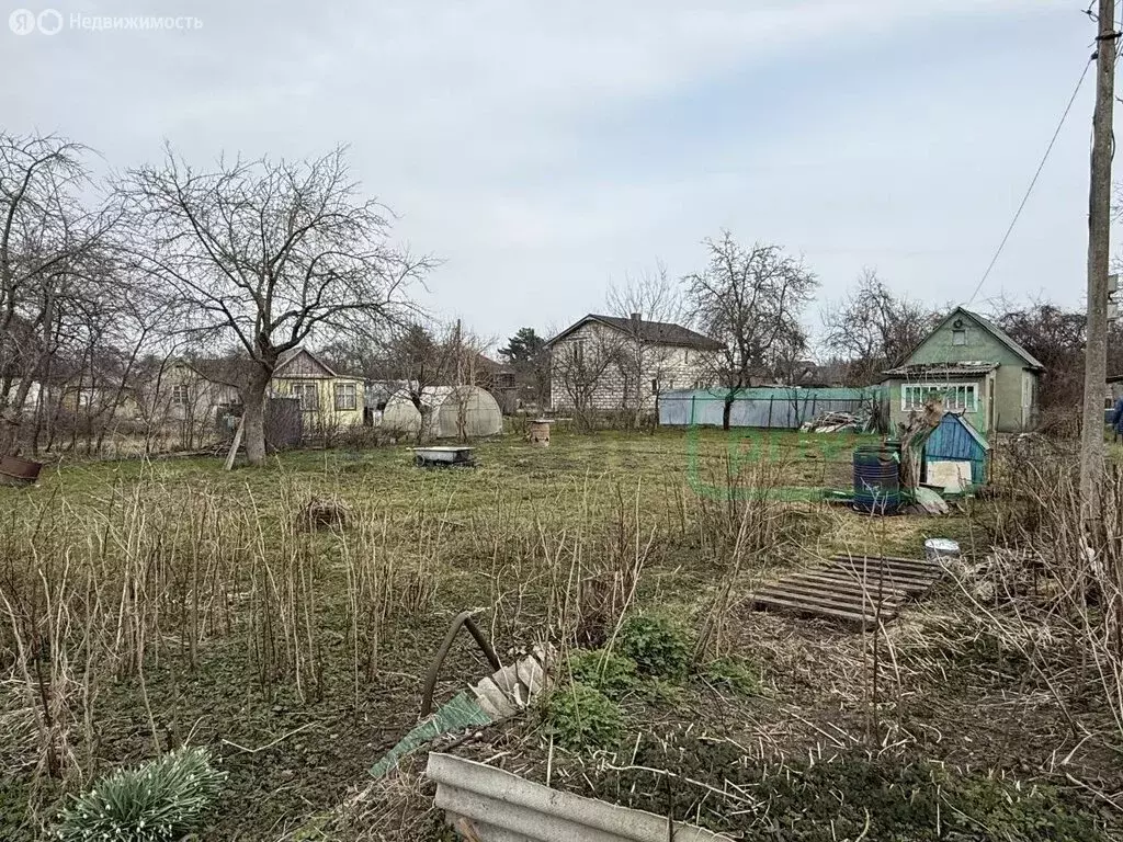 Участок в Калининград, СНТ Вишнёвый сад, Центральный проезд (7 м) - Фото 2