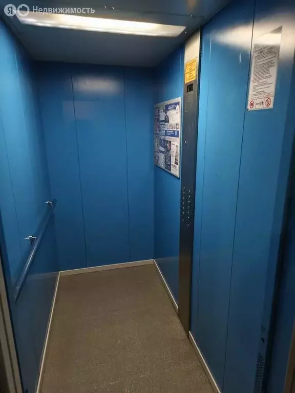 2-комнатная квартира: Великий Новгород, Западный район, проспект Мира, ... - Фото 0