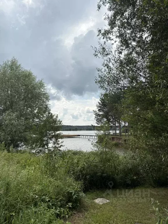 Участок в Тверская область, Кимрский муниципальный округ, д. Богунино ... - Фото 1