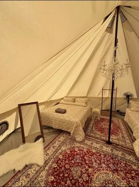 Дом в Самарская область, Шигонский район, с. Усолье ул. Лытанова (27 ... - Фото 1