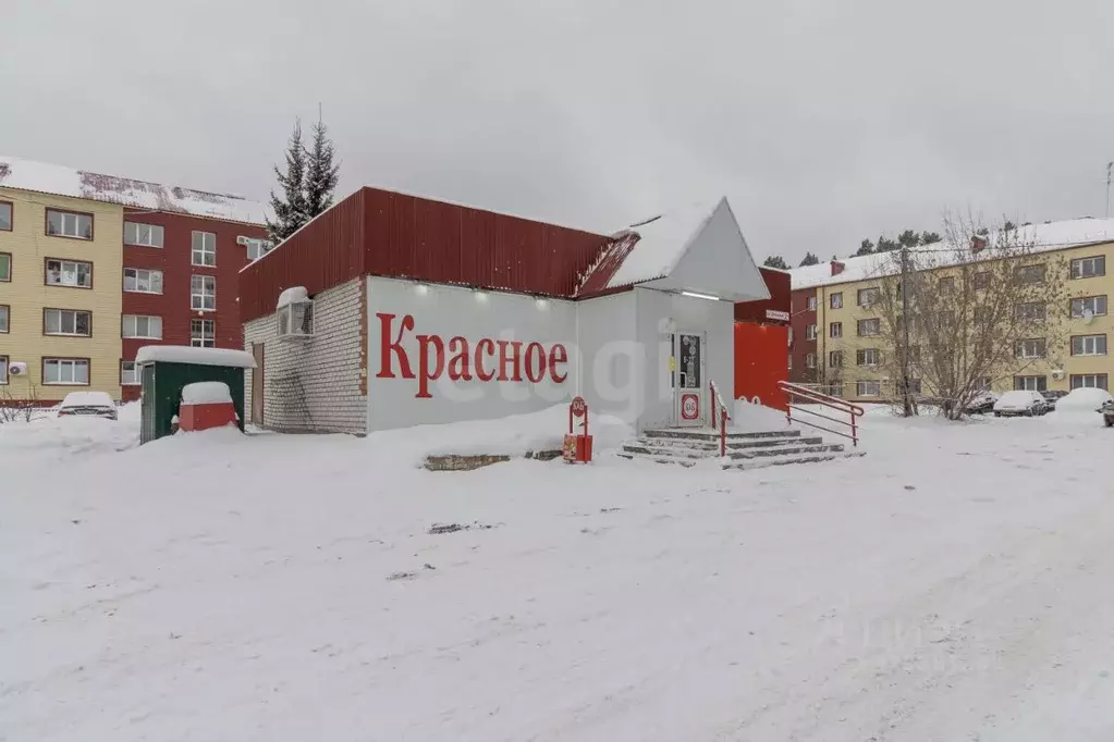 Торговая площадь в Тюменская область, Тюменский муниципальный округ, ... - Фото 1