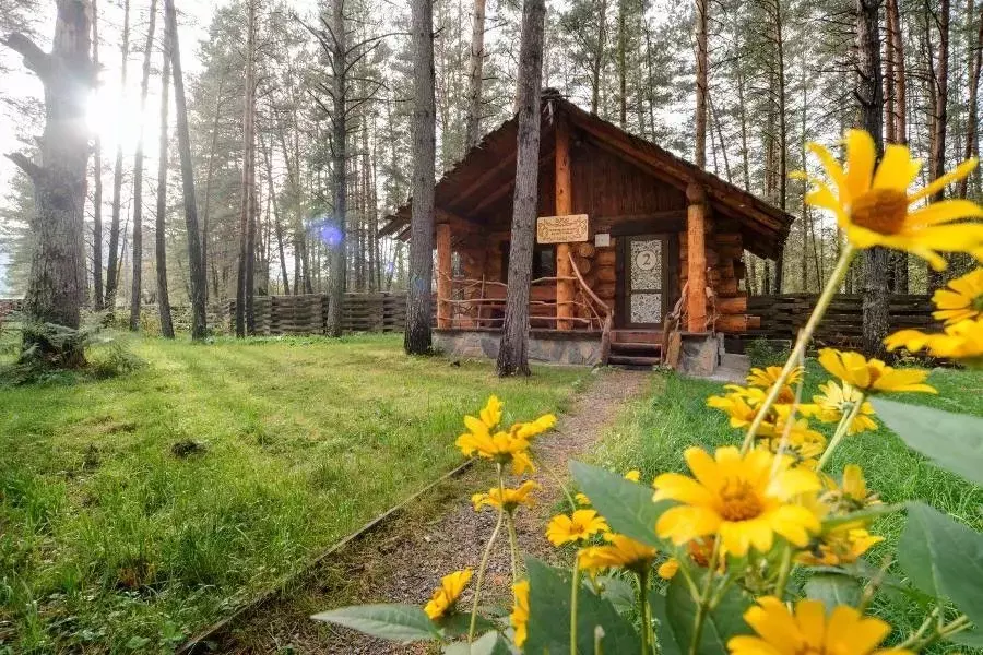 Дом в Алтай, Шебалинский район, с. Камлак Набережная ул., 38А (30 м) - Фото 0