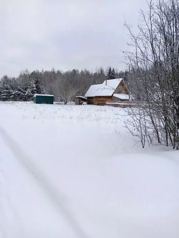 Участок в Кировская область, Слободской район, Бобинское с/пос, Чистые ... - Фото 0