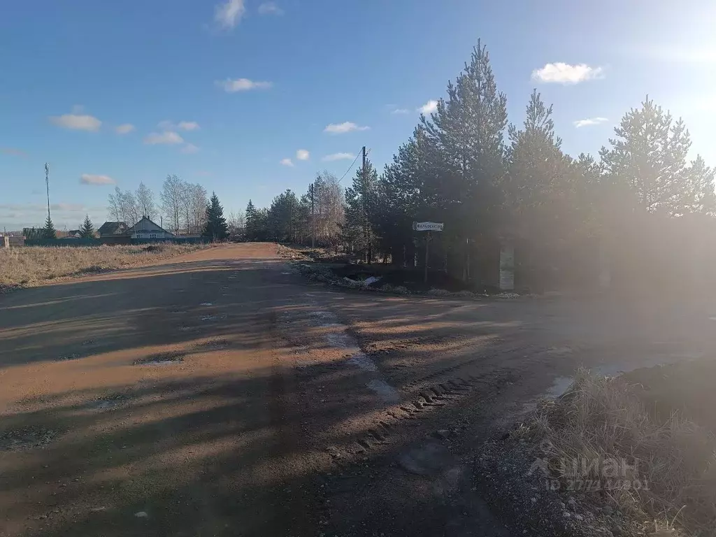 Участок в Новгородская область, Новгородский район, Борковское с/пос, ... - Фото 1