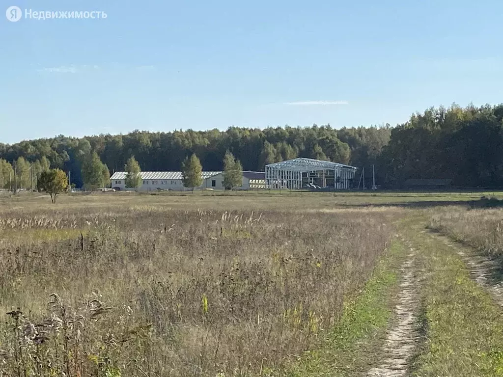 Участок в Тульская область, муниципальное образование Тула, деревня . - Фото 1