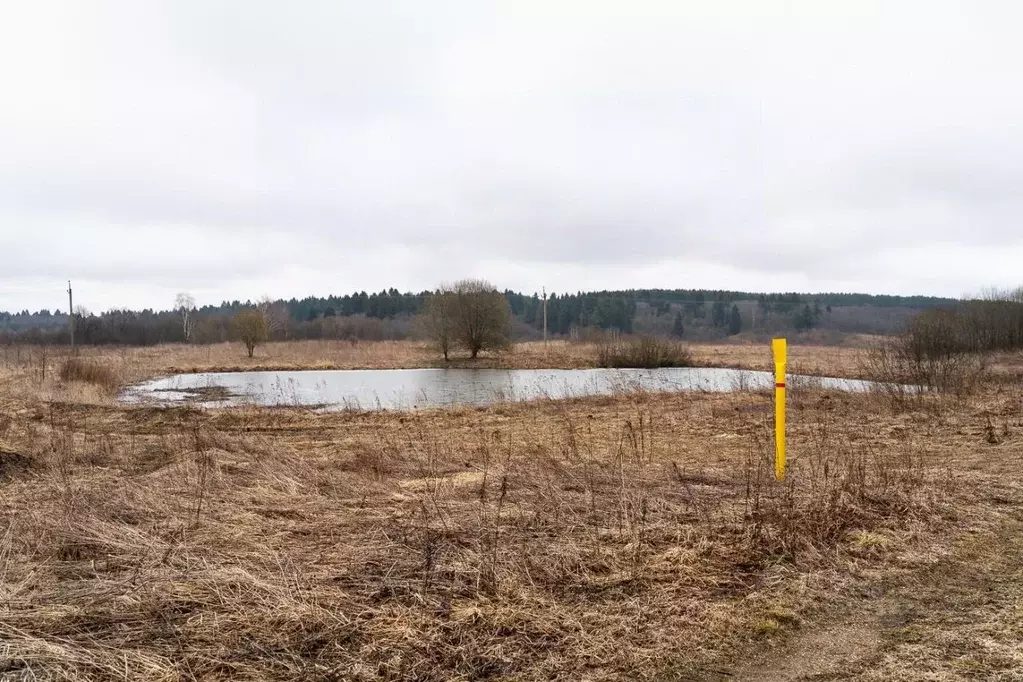 Участок в Владимирская область, Александровский муниципальный округ, ... - Фото 2