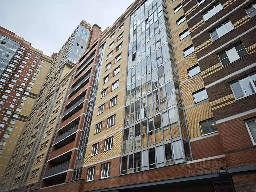 Студия Санкт-Петербург Усть-Славянка тер., просп. Советский, 39к1 ... - Фото 2