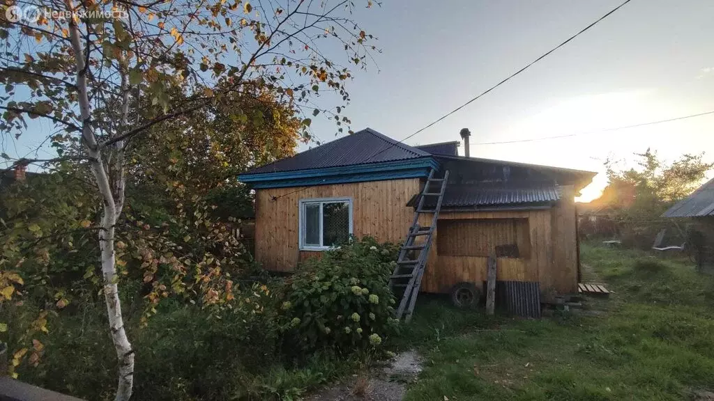 Дом в Чугуевка, улица 50 лет Октября, 256 (80 м) - Фото 0
