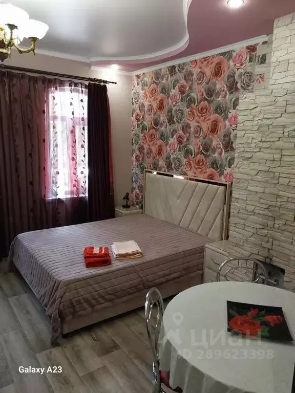 1-к кв. Ставропольский край, Кисловодск ул. Гагарина, 15 (29.0 м) - Фото 1
