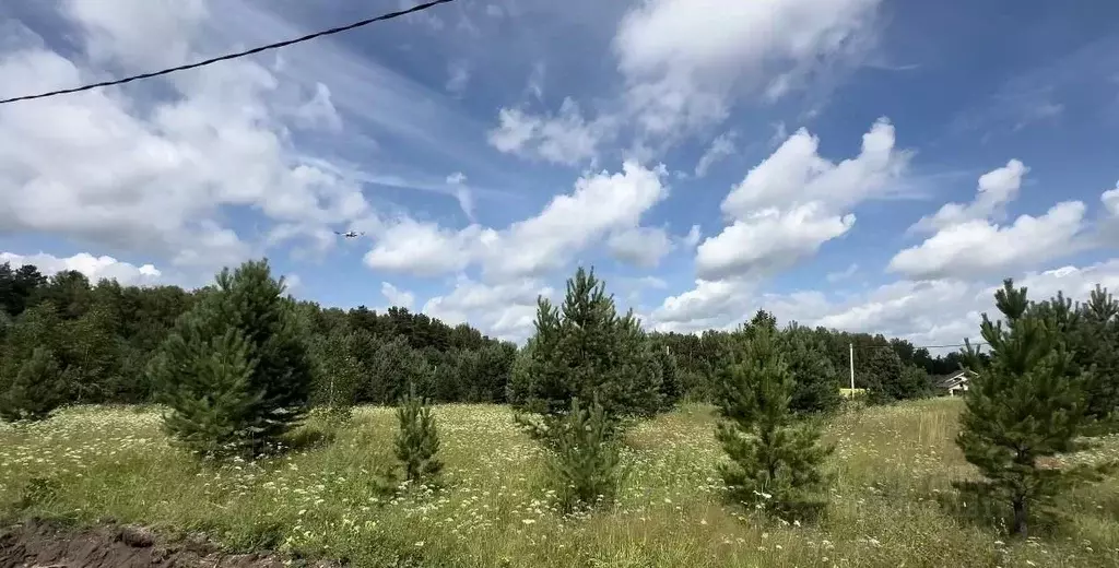 Участок в Новосибирская область, Новосибирский район, Кубовинский ... - Фото 2
