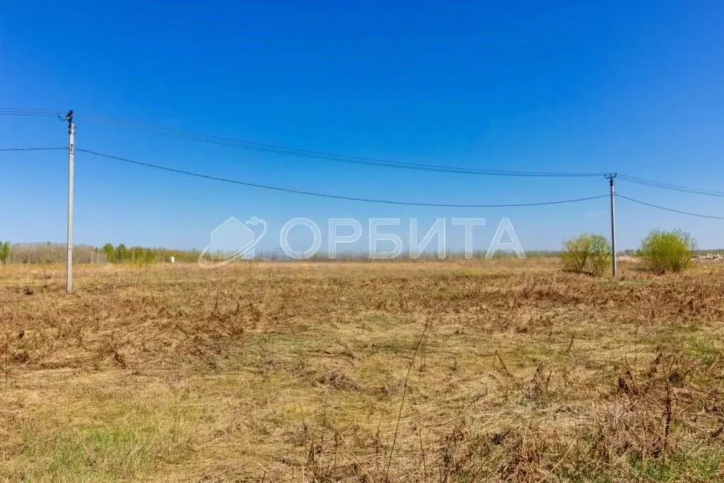 Участок в Тюменская область, Тюменский муниципальный округ, с. ... - Фото 1