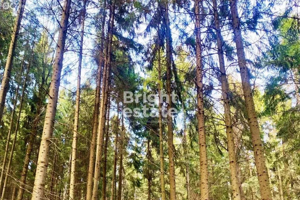 Участок в деревня Таганьково, КП Николино (45 м) - Фото 2