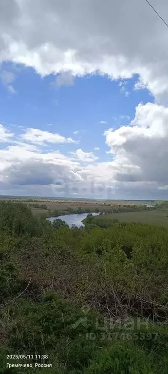Участок в Калужская область, Перемышльский район, Гремячево с/пос, с. ... - Фото 2