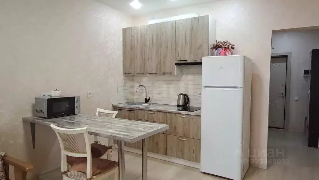 Студия Краснодарский край, Анапа ул. Толстого, 130к2 (28.21 м) - Фото 2