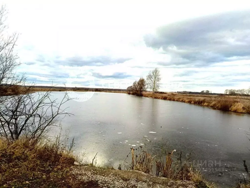 Участок, 53.4 сот., сельхоз (снт или днп) - Фото 1