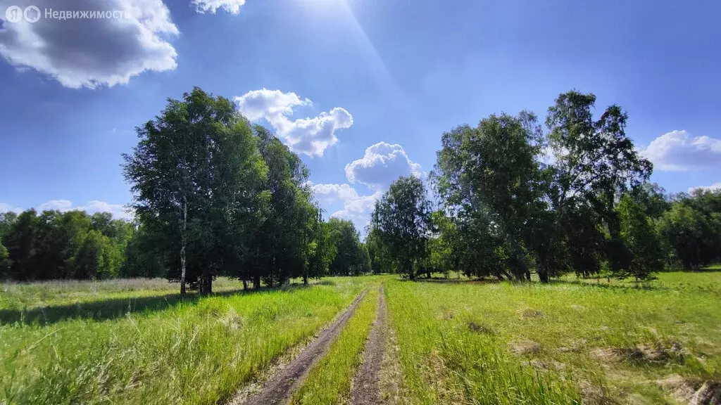 Участок в Свердловская область, Каменский муниципальный округ, село ... - Фото 0