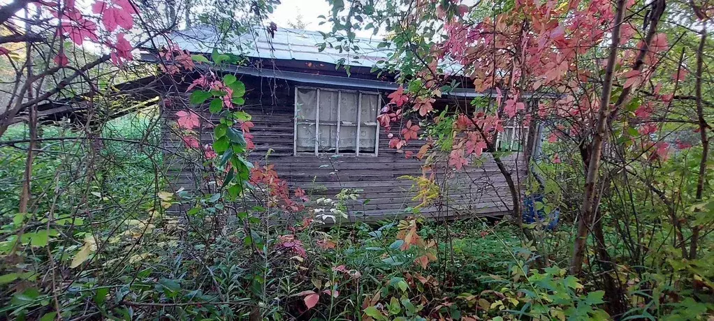 Участок в Московская область, Можайский муниципальный округ, д. ... - Фото 1