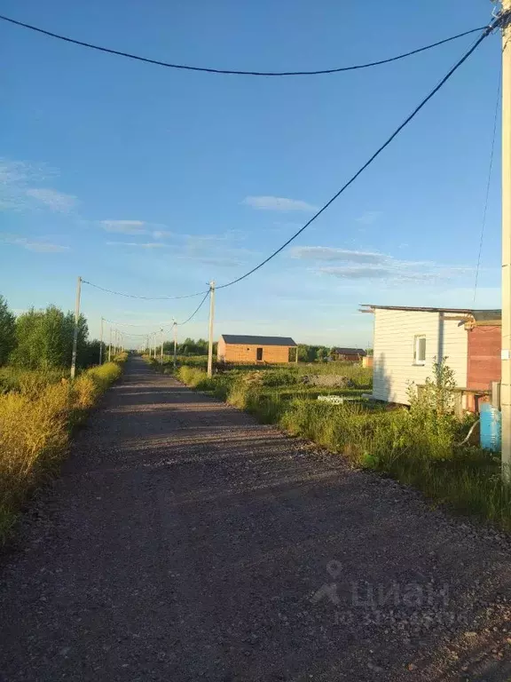 Участок в Ленинградская область, Ломоносовский район, Лопухинское ... - Фото 1