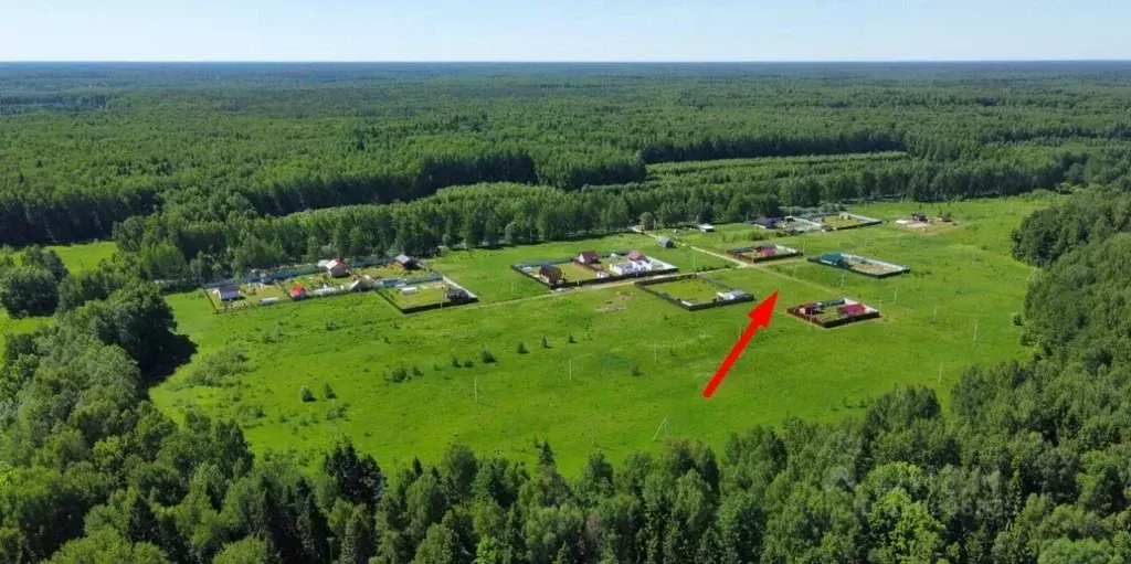 Участок в Владимирская область, Судогодский район, Головинское ... - Фото 0