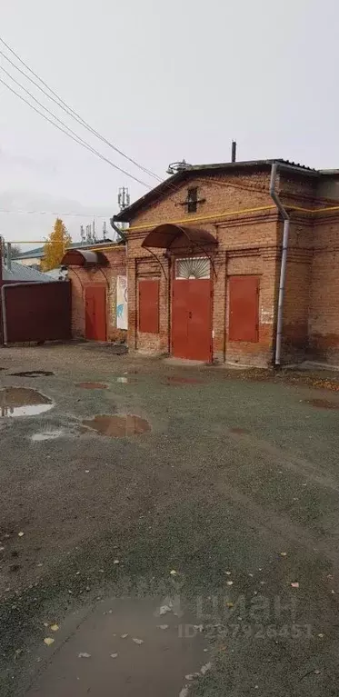 Помещение свободного назначения в Алтайский край, Барнаул ул. ... - Фото 1