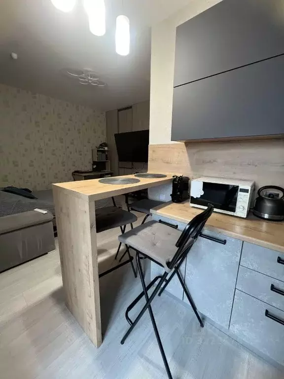 1-к кв. Томская область, Томский район, д. Кисловка, Северный мкр ул. ... - Фото 2