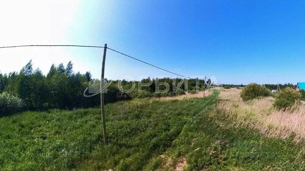 Участок в Тюменская область, Тюмень Большое Царево-2 СНТ,  (9.8 сот.) - Фото 1