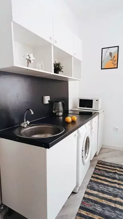 Студия Московская область, Одинцово ул. Гвардейская, 11 (16.0 м) - Фото 2