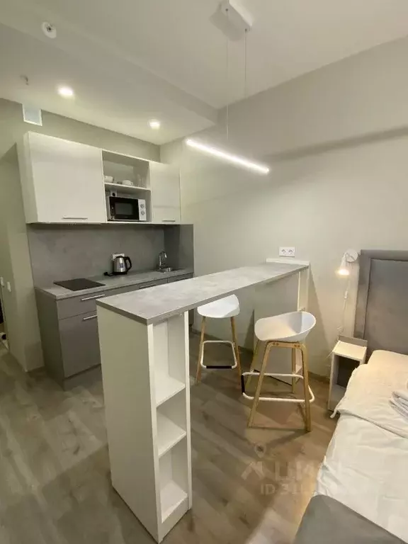 Студия Санкт-Петербург Витебский просп., 99к1 (26.0 м) - Фото 0