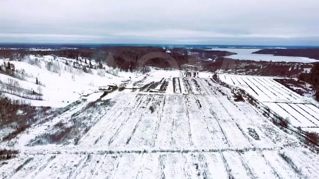 Участок в Ленинградская область, Приозерский район, Красноозерное ... - Фото 0