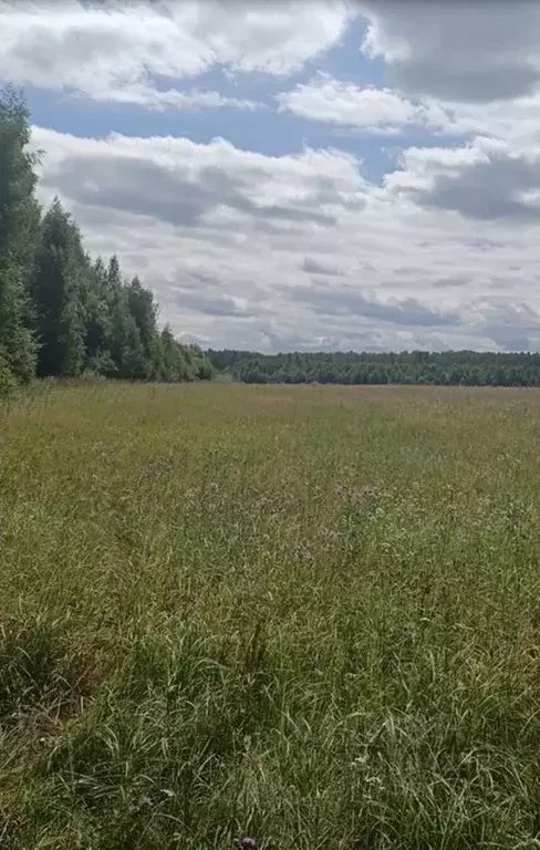 Участок в Тверская область, Конаковский муниципальный округ, ... - Фото 2